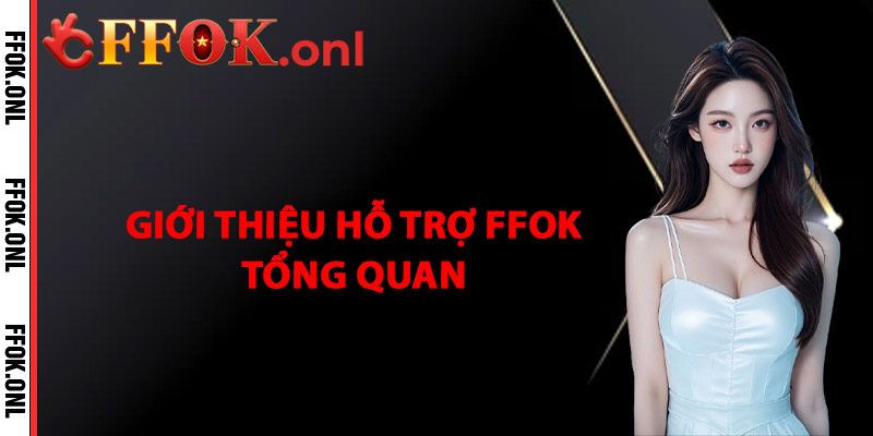 Giới Thiệu Hỗ Trợ FFok Tổng Quan