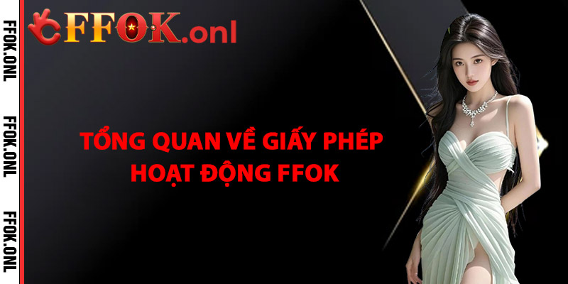 Tổng quan về giấy phép hoạt động FFok